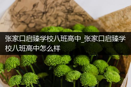 张家口启臻学校八班高中_张家口启臻学校八班高中怎么样