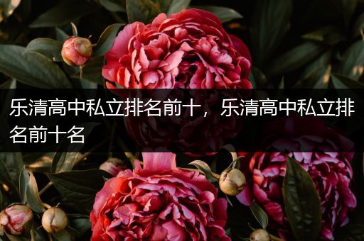 乐清高中私立排名前十，乐清高中私立排名前十名