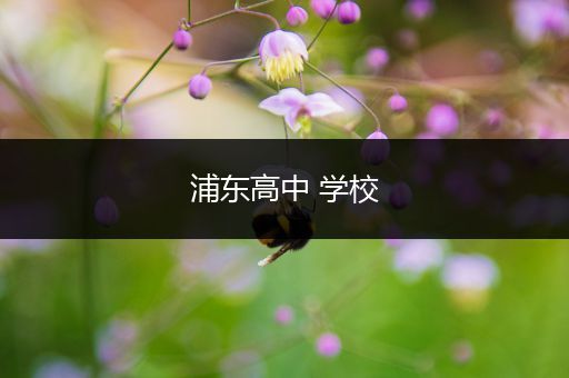 浦东高中 学校