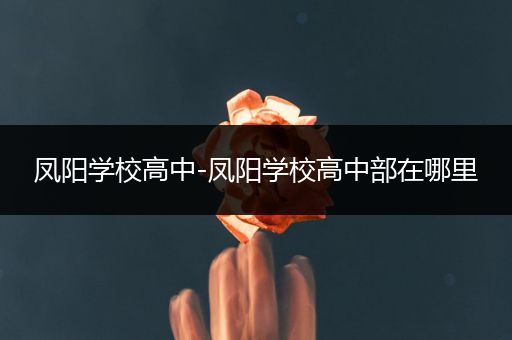 凤阳学校高中-凤阳学校高中部在哪里
