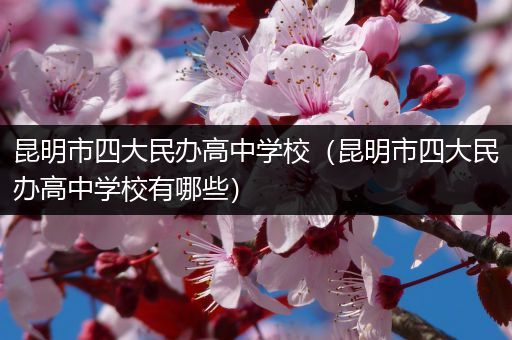 昆明市四大民办高中学校（昆明市四大民办高中学校有哪些）