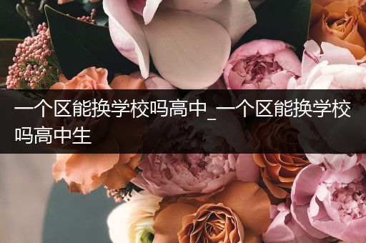 一个区能换学校吗高中_一个区能换学校吗高中生