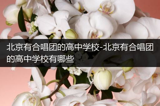 北京有合唱团的高中学校-北京有合唱团的高中学校有哪些