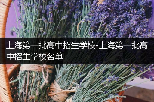 上海第一批高中招生学校-上海第一批高中招生学校名单