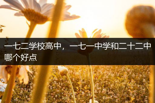一七二学校高中，一七一中学和二十二中哪个好点