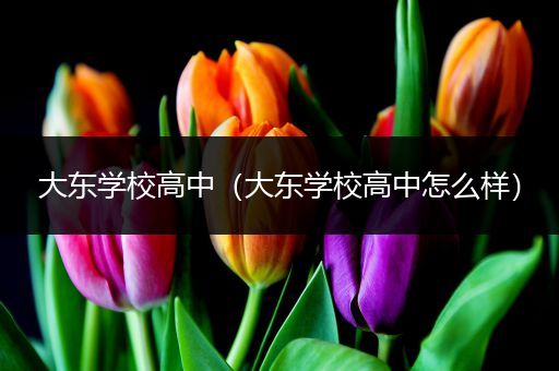 大东学校高中（大东学校高中怎么样）