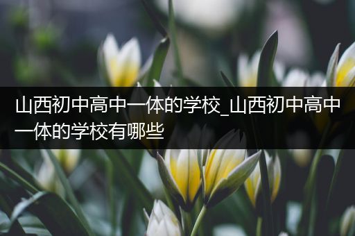 山西初中高中一体的学校_山西初中高中一体的学校有哪些