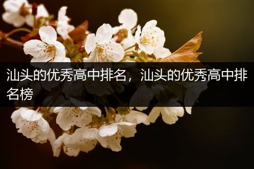 汕头的优秀高中排名，汕头的优秀高中排名榜