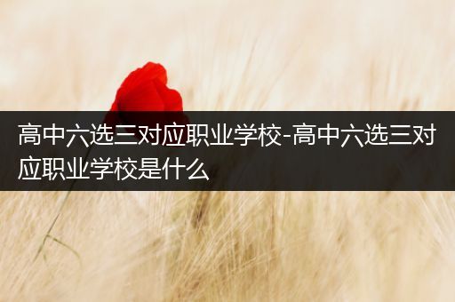 高中六选三对应职业学校-高中六选三对应职业学校是什么