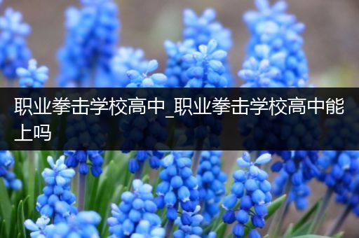 职业拳击学校高中_职业拳击学校高中能上吗