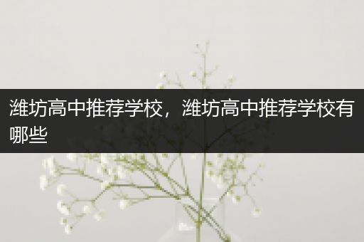 潍坊高中推荐学校，潍坊高中推荐学校有哪些