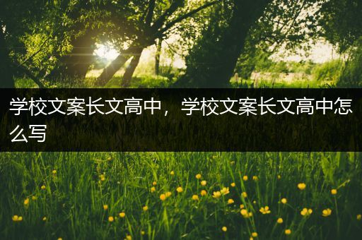 学校文案长文高中，学校文案长文高中怎么写