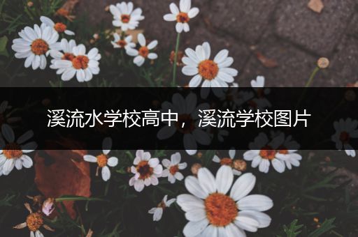 溪流水学校高中，溪流学校图片