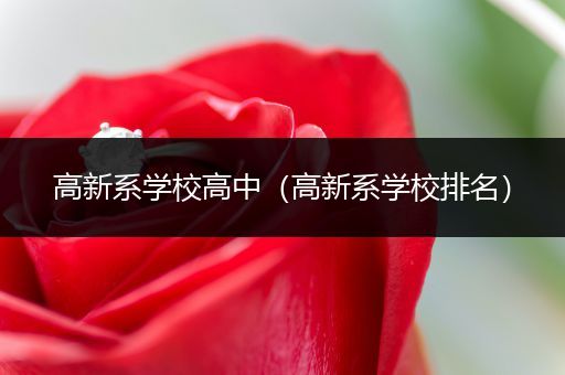 高新系学校高中（高新系学校排名）