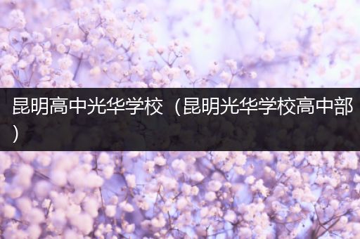 昆明高中光华学校（昆明光华学校高中部）