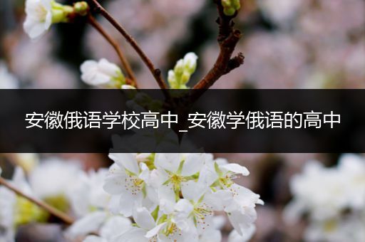 安徽俄语学校高中_安徽学俄语的高中