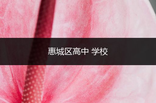 惠城区高中 学校