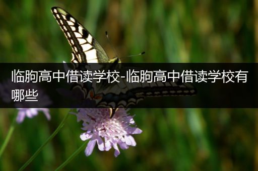 临朐高中借读学校-临朐高中借读学校有哪些