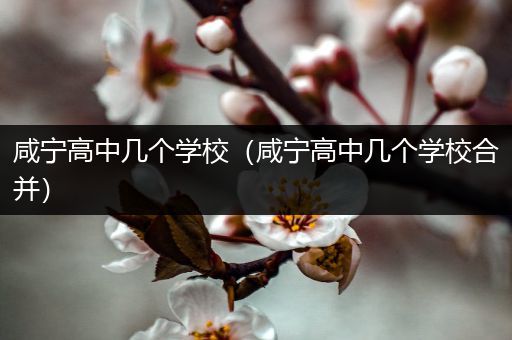 咸宁高中几个学校（咸宁高中几个学校合并）