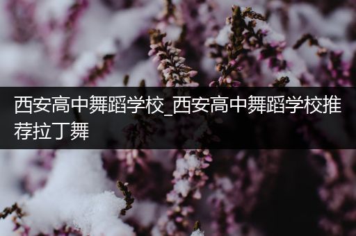 西安高中舞蹈学校_西安高中舞蹈学校推荐拉丁舞