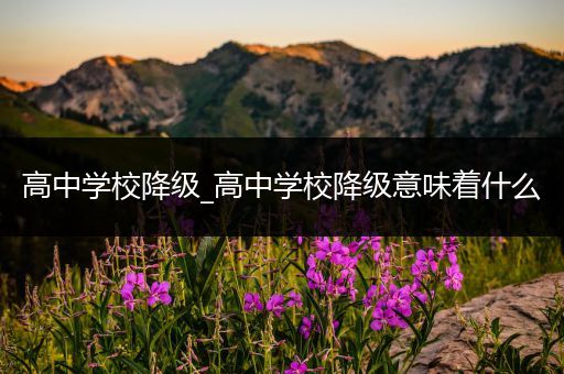 高中学校降级_高中学校降级意味着什么