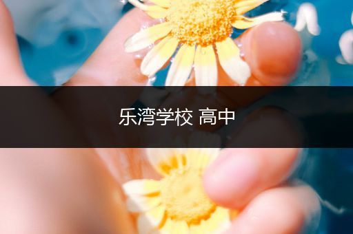 乐湾学校 高中