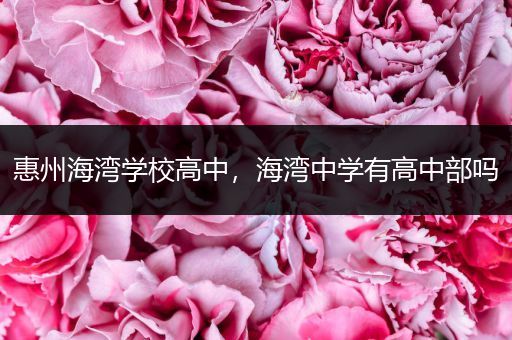 惠州海湾学校高中，海湾中学有高中部吗