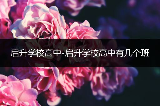 启升学校高中-启升学校高中有几个班