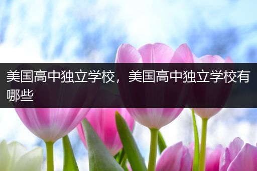 美国高中独立学校，美国高中独立学校有哪些