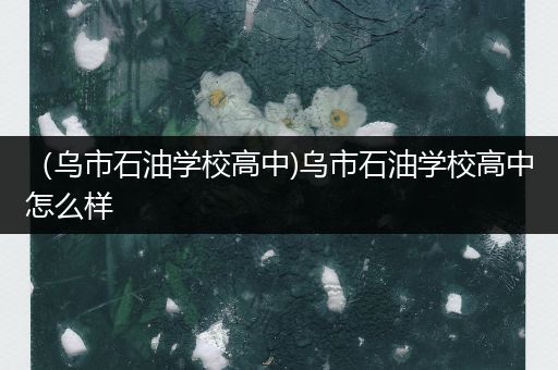 （乌市石油学校高中)乌市石油学校高中怎么样