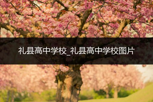礼县高中学校_礼县高中学校图片