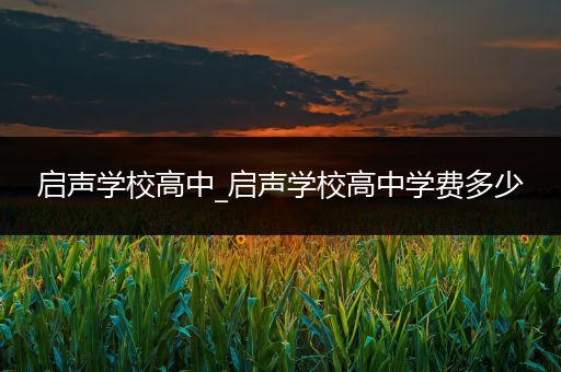 启声学校高中_启声学校高中学费多少