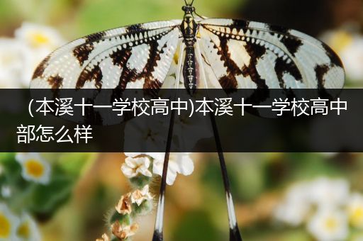 （本溪十一学校高中)本溪十一学校高中部怎么样