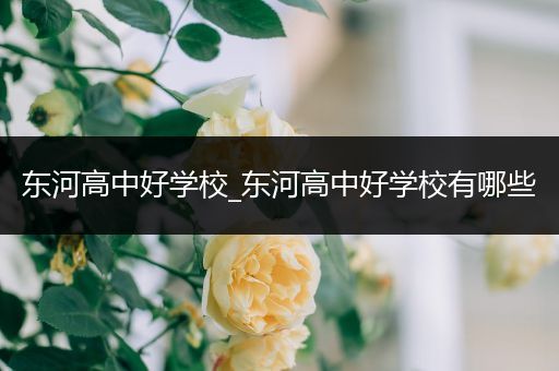 东河高中好学校_东河高中好学校有哪些