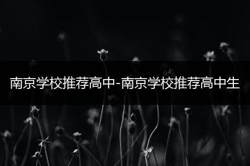 南京学校推荐高中-南京学校推荐高中生
