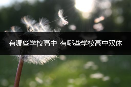 有哪些学校高中_有哪些学校高中双休