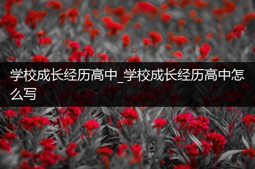 学校成长经历高中_学校成长经历高中怎么写