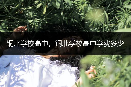 铜北学校高中，铜北学校高中学费多少