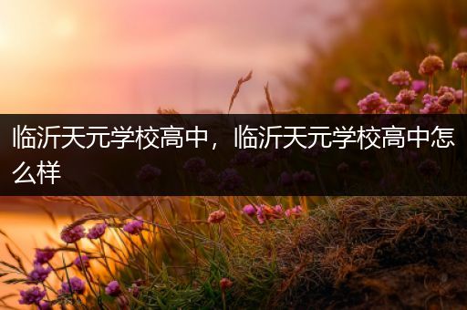 临沂天元学校高中，临沂天元学校高中怎么样