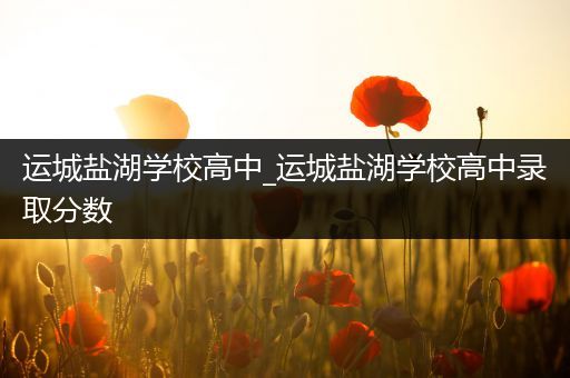 运城盐湖学校高中_运城盐湖学校高中录取分数