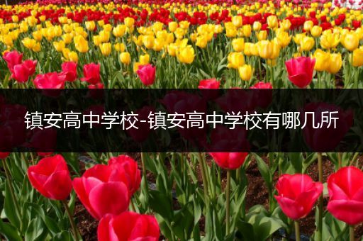 镇安高中学校-镇安高中学校有哪几所