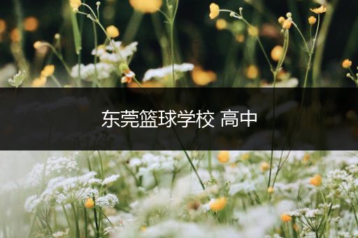 东莞篮球学校 高中