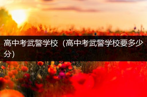 高中考武警学校（高中考武警学校要多少分）