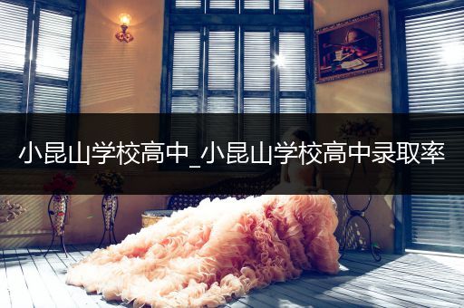 小昆山学校高中_小昆山学校高中录取率