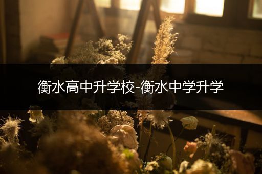 衡水高中升学校-衡水中学升学