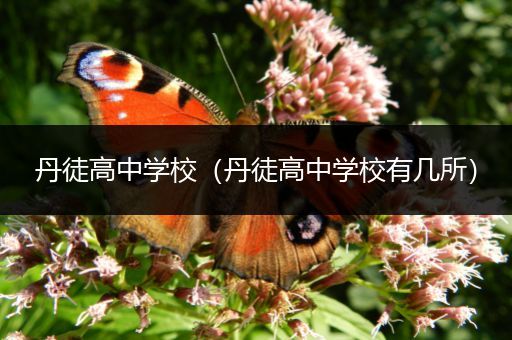 丹徒高中学校（丹徒高中学校有几所）