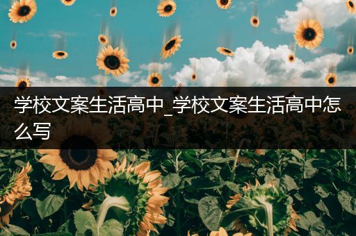 学校文案生活高中_学校文案生活高中怎么写