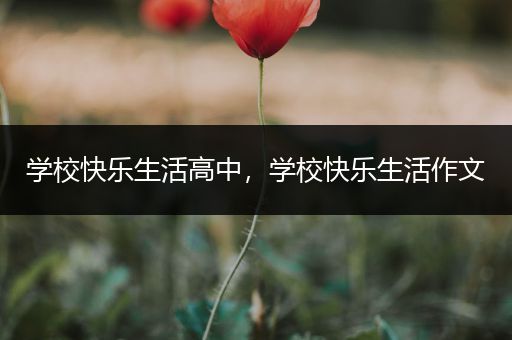 学校快乐生活高中，学校快乐生活作文