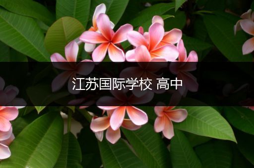 江苏国际学校 高中