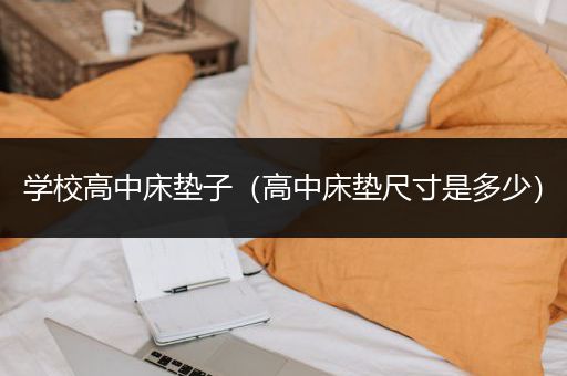 学校高中床垫子（高中床垫尺寸是多少）